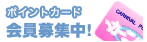 �J�[�j�o���|�C���g�J�[�h�����W��